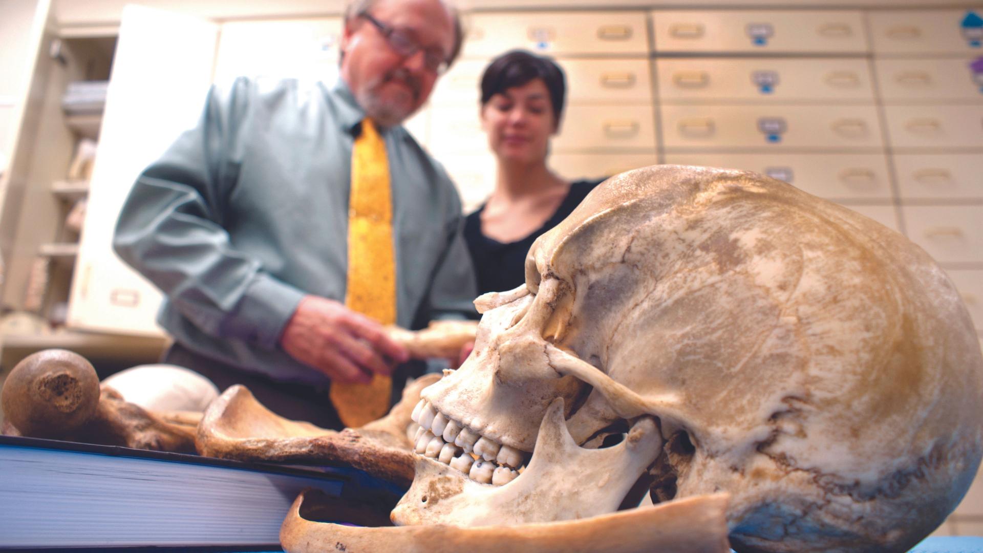 Professor and student examining skull