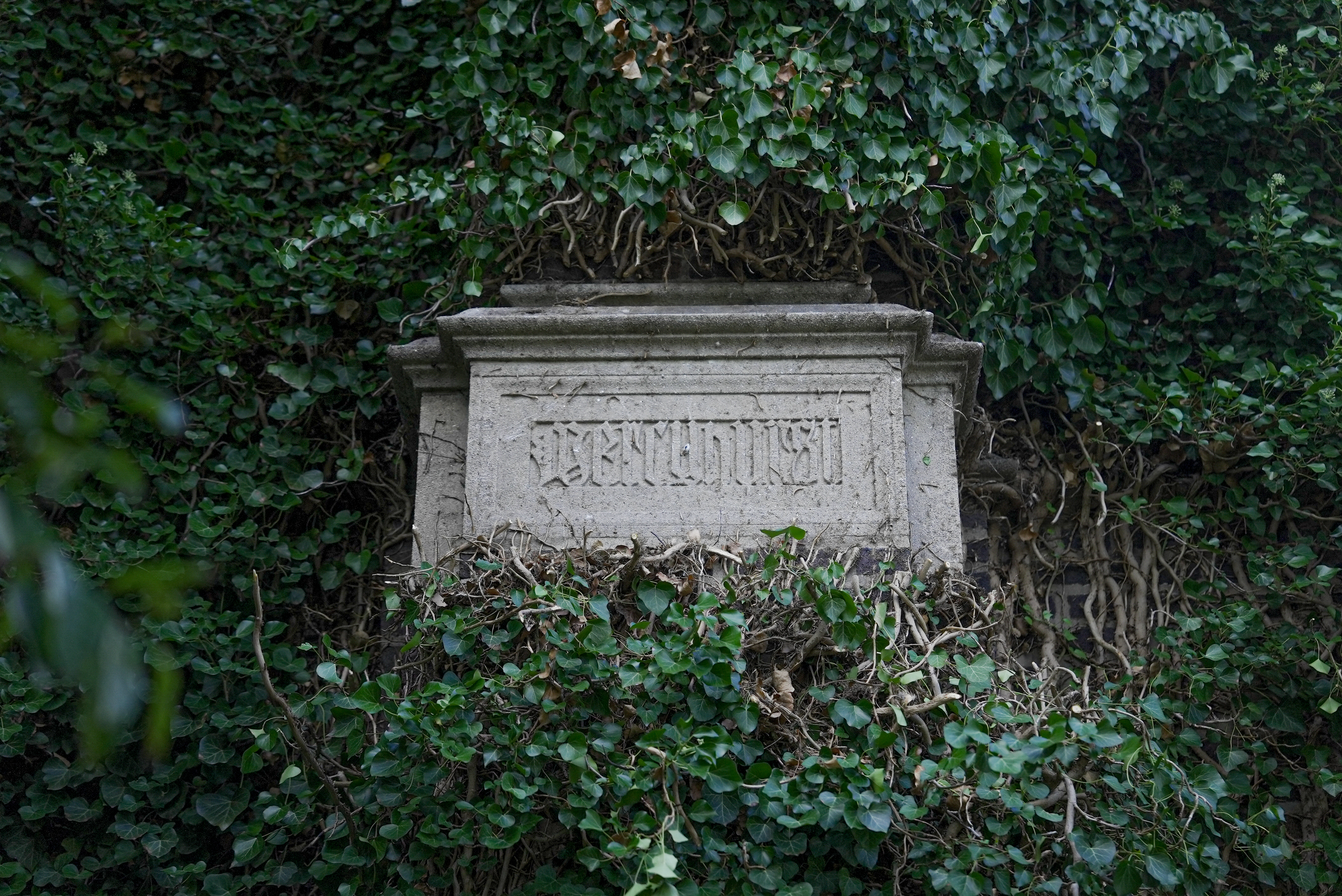 Cornerstone