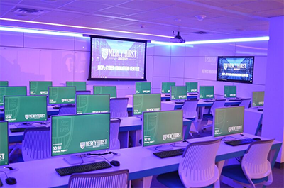 lab
