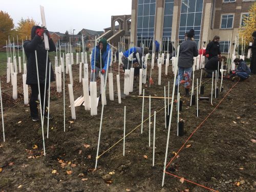 mercyhurst tiny forest