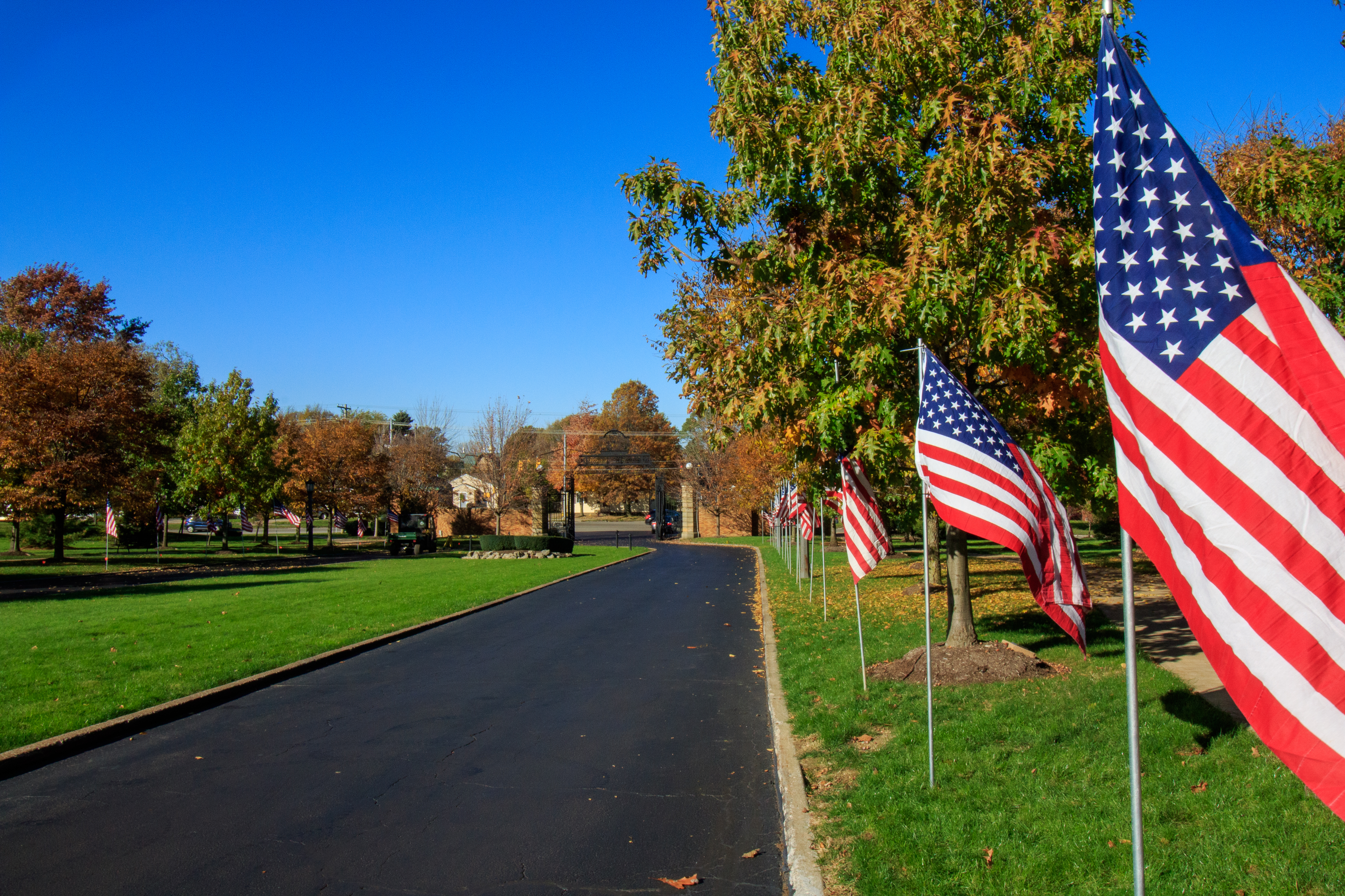 american flags line Old Main Drive at Mercyhurst