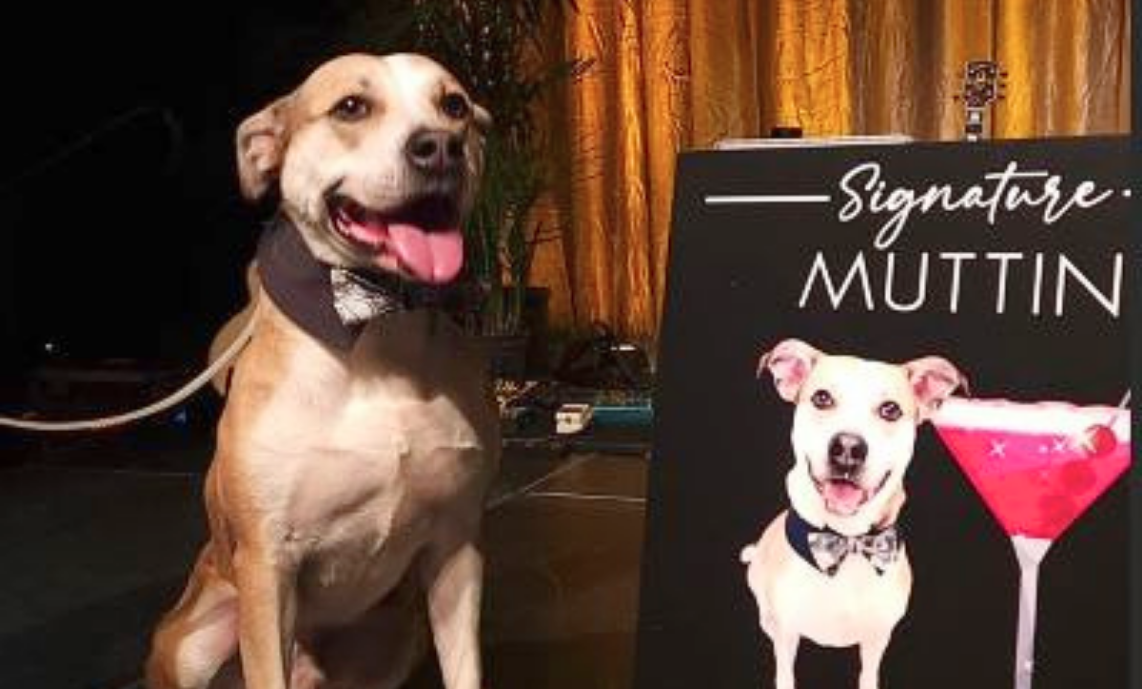 mutt gala mercyhurst 