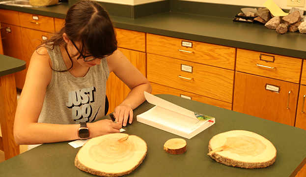 nicole schwab studies erosion