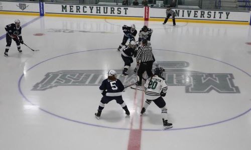 mercyhurst ice center