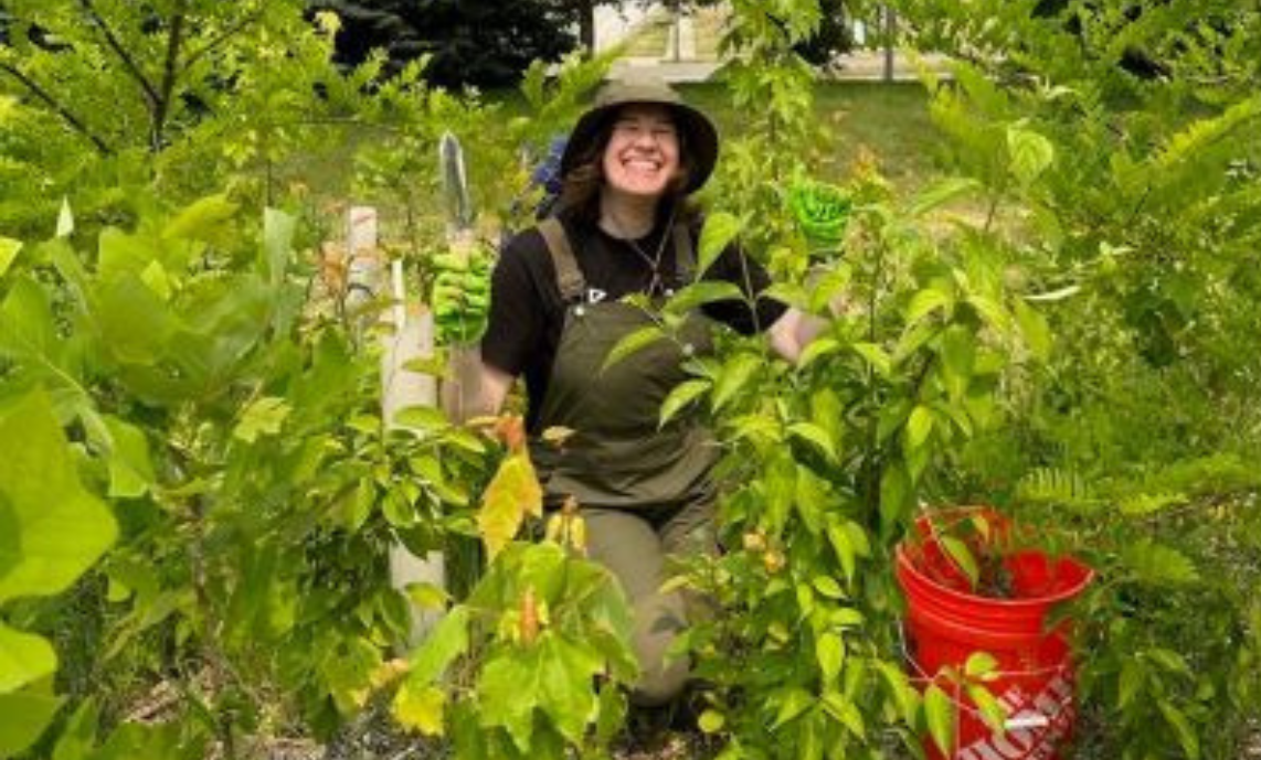 Molly Tarvin in the tiny forest