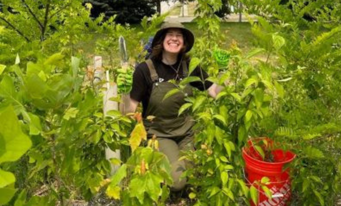 molly tarvin in the tiny forest