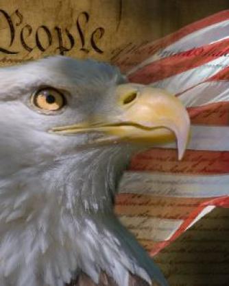 image of bald eagle with american flag