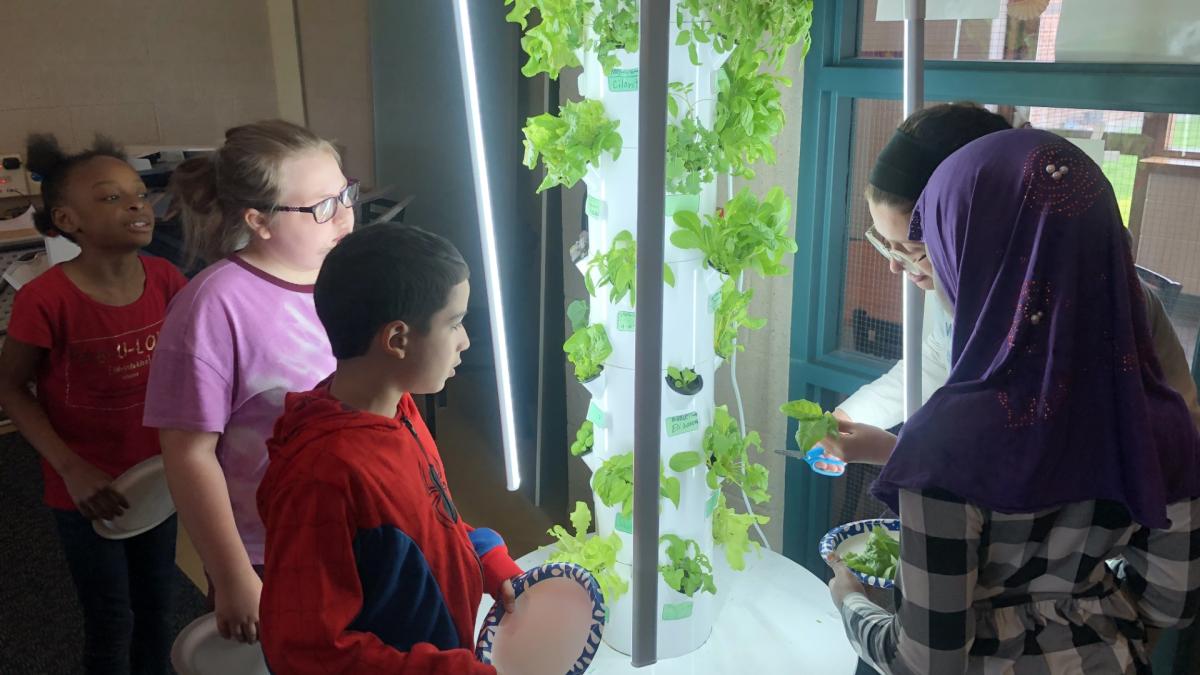 Children attending Sustainability Camp