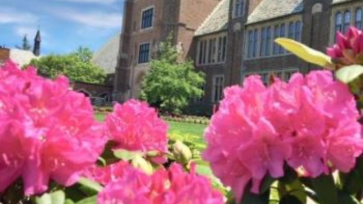 Mercyhurst University Old Main flowers