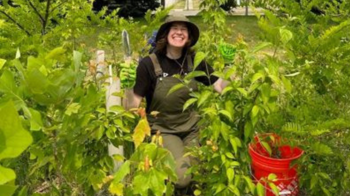 Molly Tarvin in the tiny forest