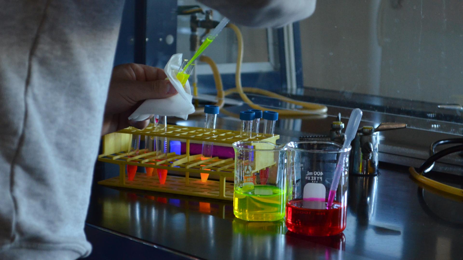 student uses test tubes in lab