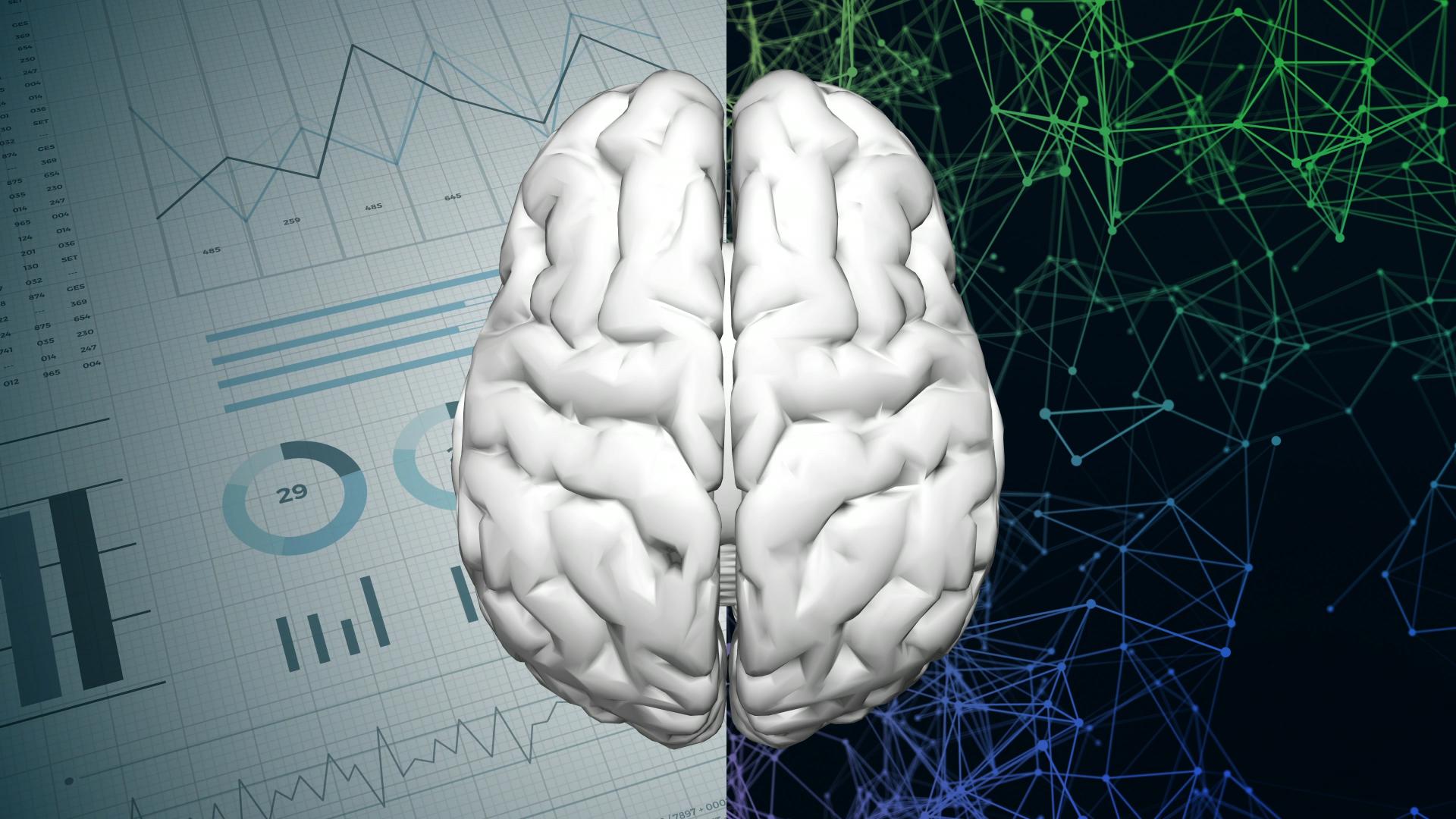 An image with graphs and the human brain 