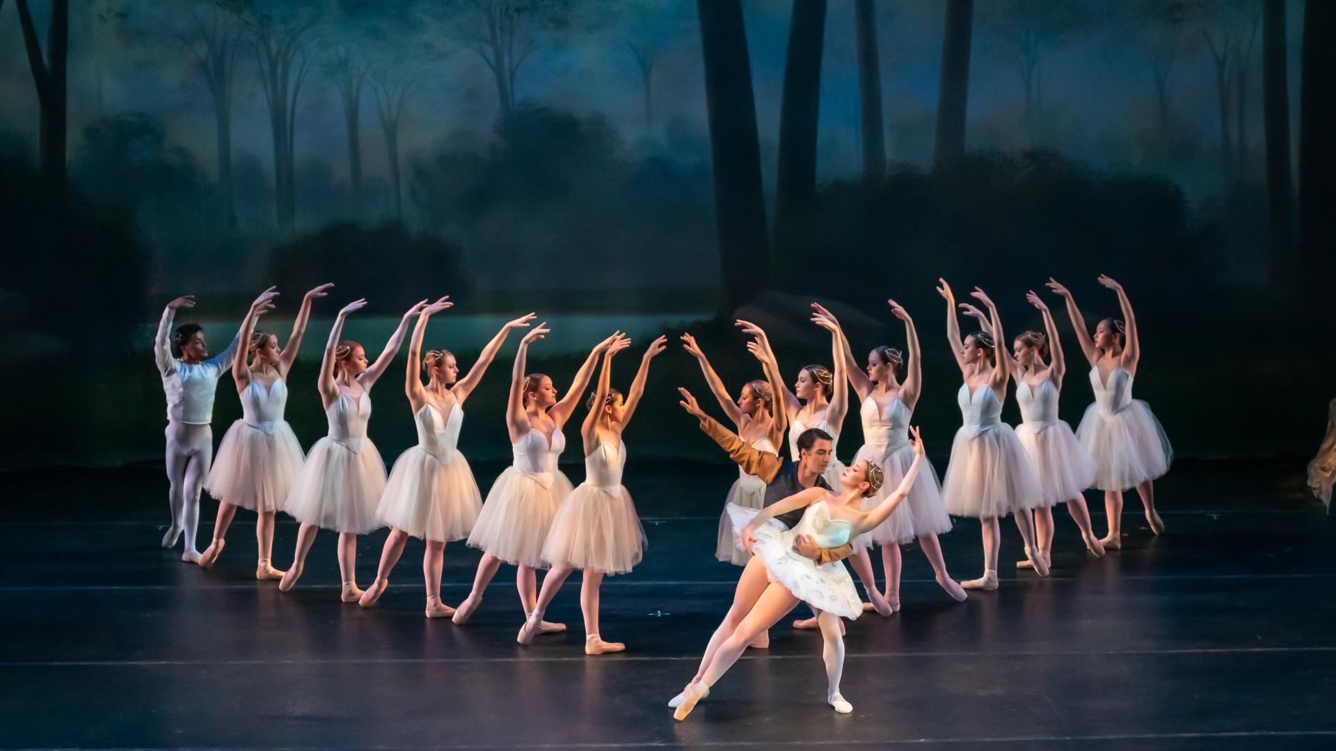 Swan Lake