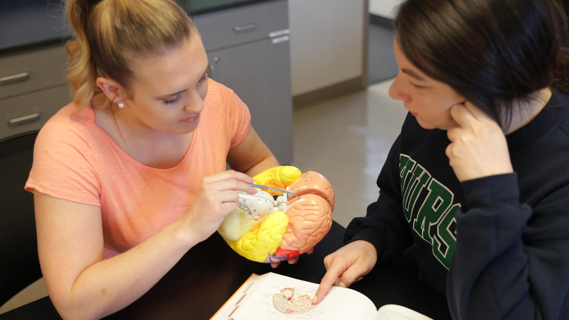 two biology students studying together.