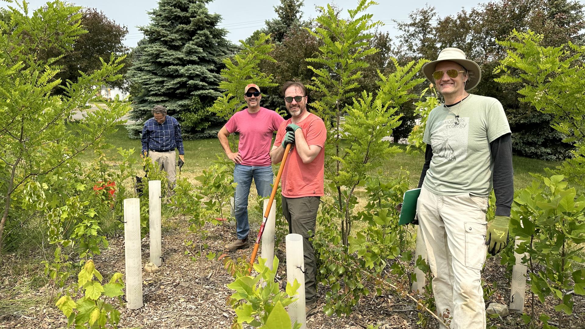 people working on tiny forest