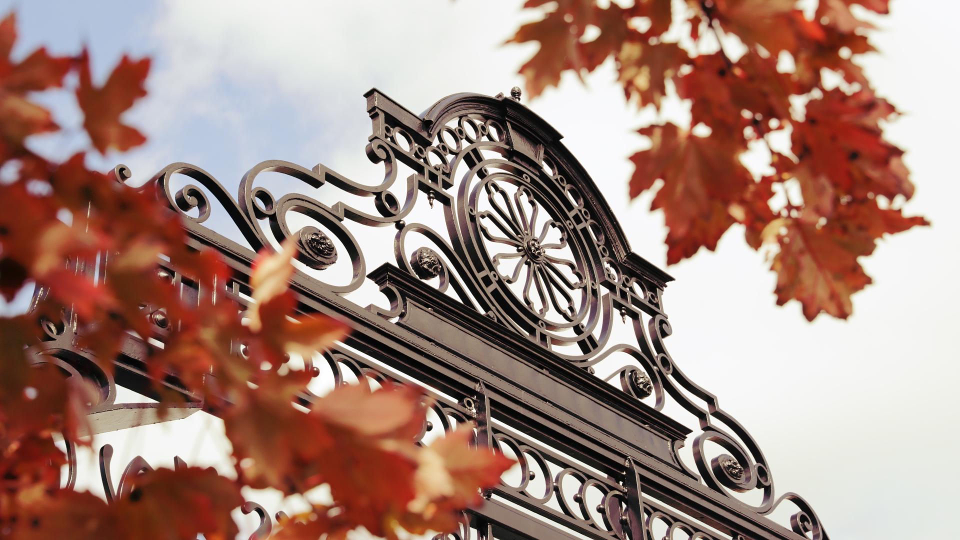 Gates closeup with fall leaves