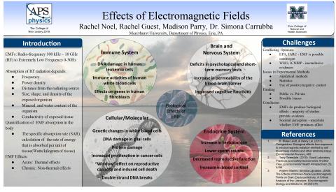 Physics Research Project on the effects of electromagnetic fields