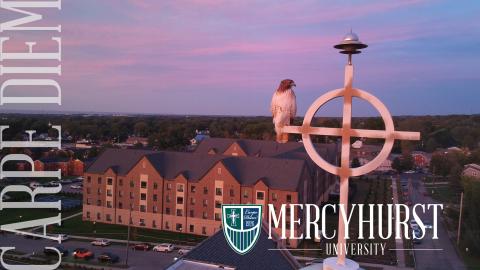 Hurst Hawk with Old Main at Dusk in Background