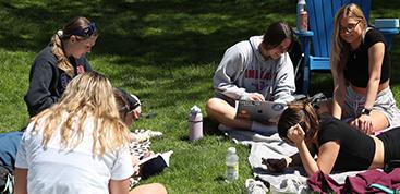 Students sitting outside on a grass