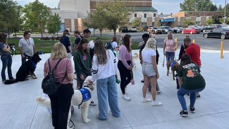 Dogs from Therapy Dogs United during Mercyhurst Wellness Center's events to promote positive social interactions among students