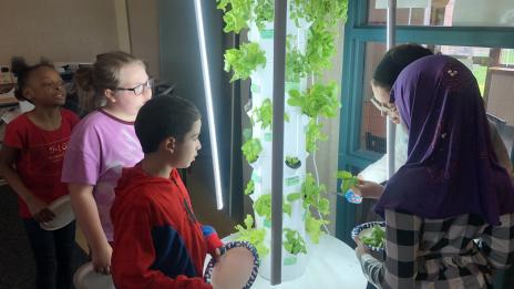 Children attending Sustainability Camp
