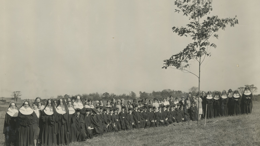 a large group of sisters of mercy gather around a tree - archives photo