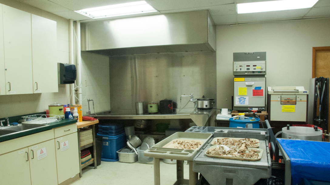 Mercyhurst's Forensic Anthropology Wet Lab