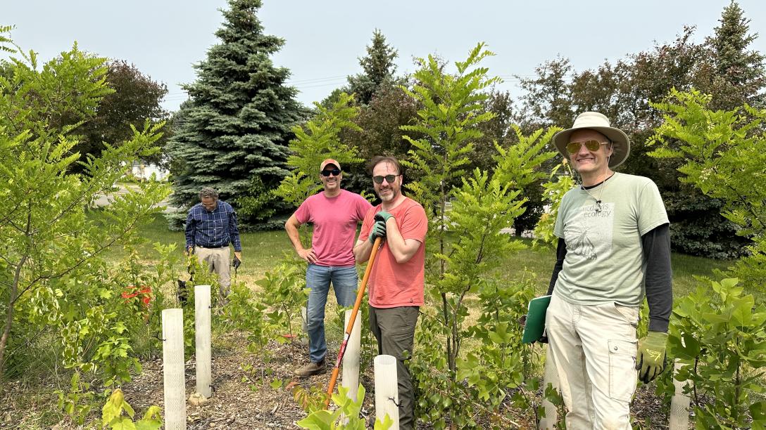 Sustainability staff working on tiny forest