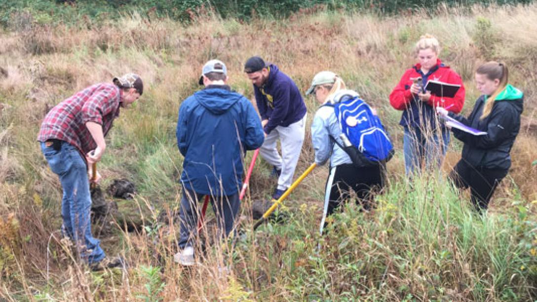 Students in the field