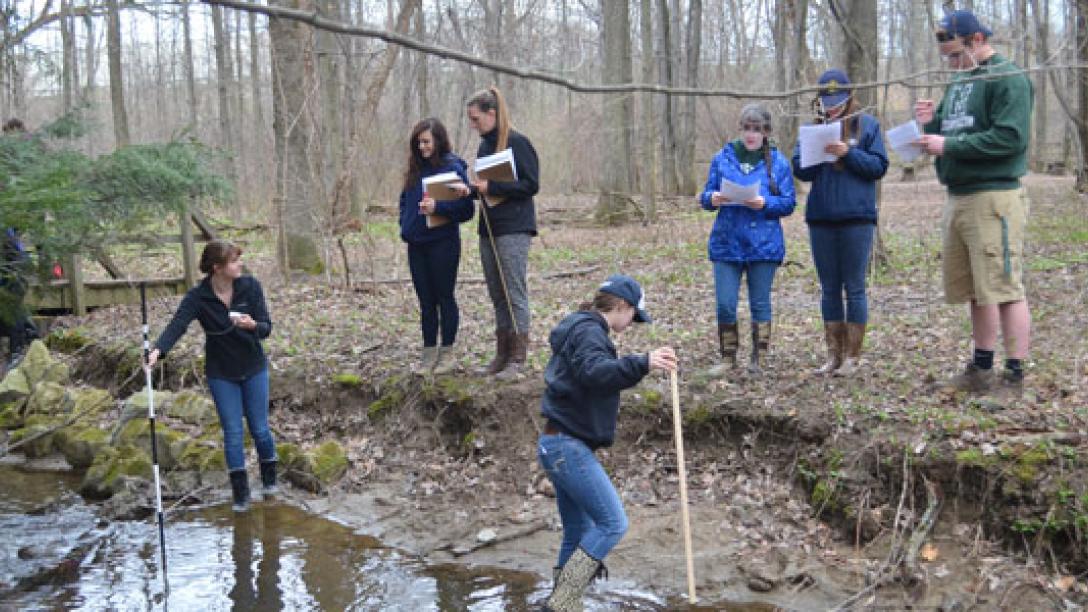 Students exploring a creek