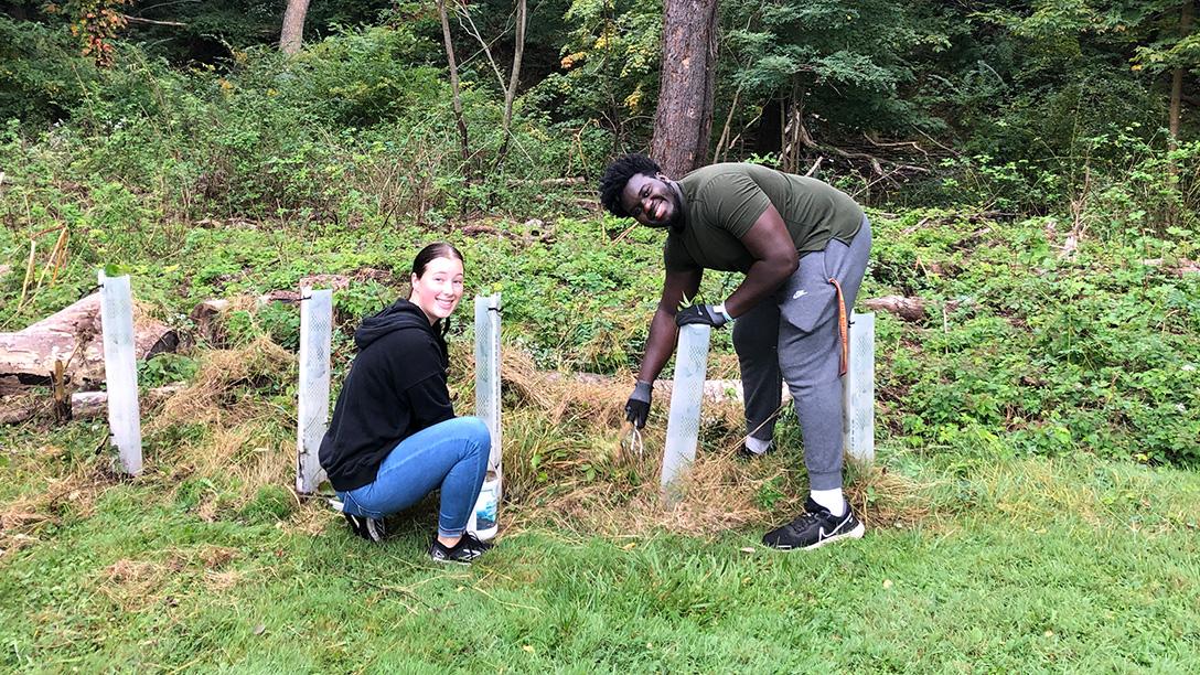 Photo of people working on Sennett Institute project outside