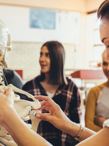 professor and students review skeletal anatomy