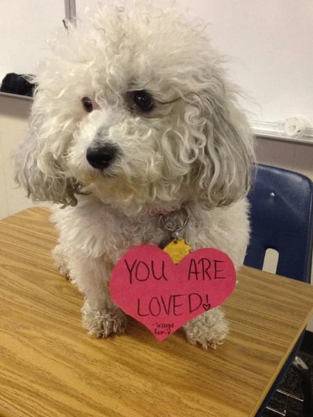 Dogs You Are Loved
